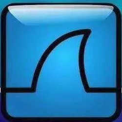 Wireshark 4.4.9(64-bit)
