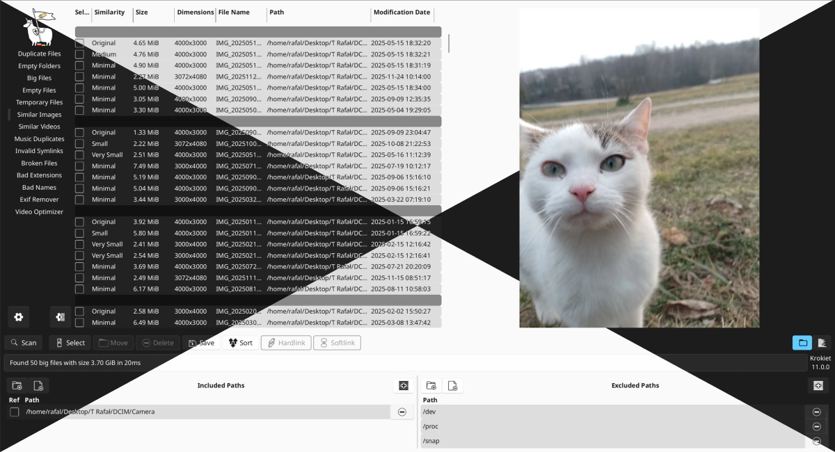 Czkawka interface