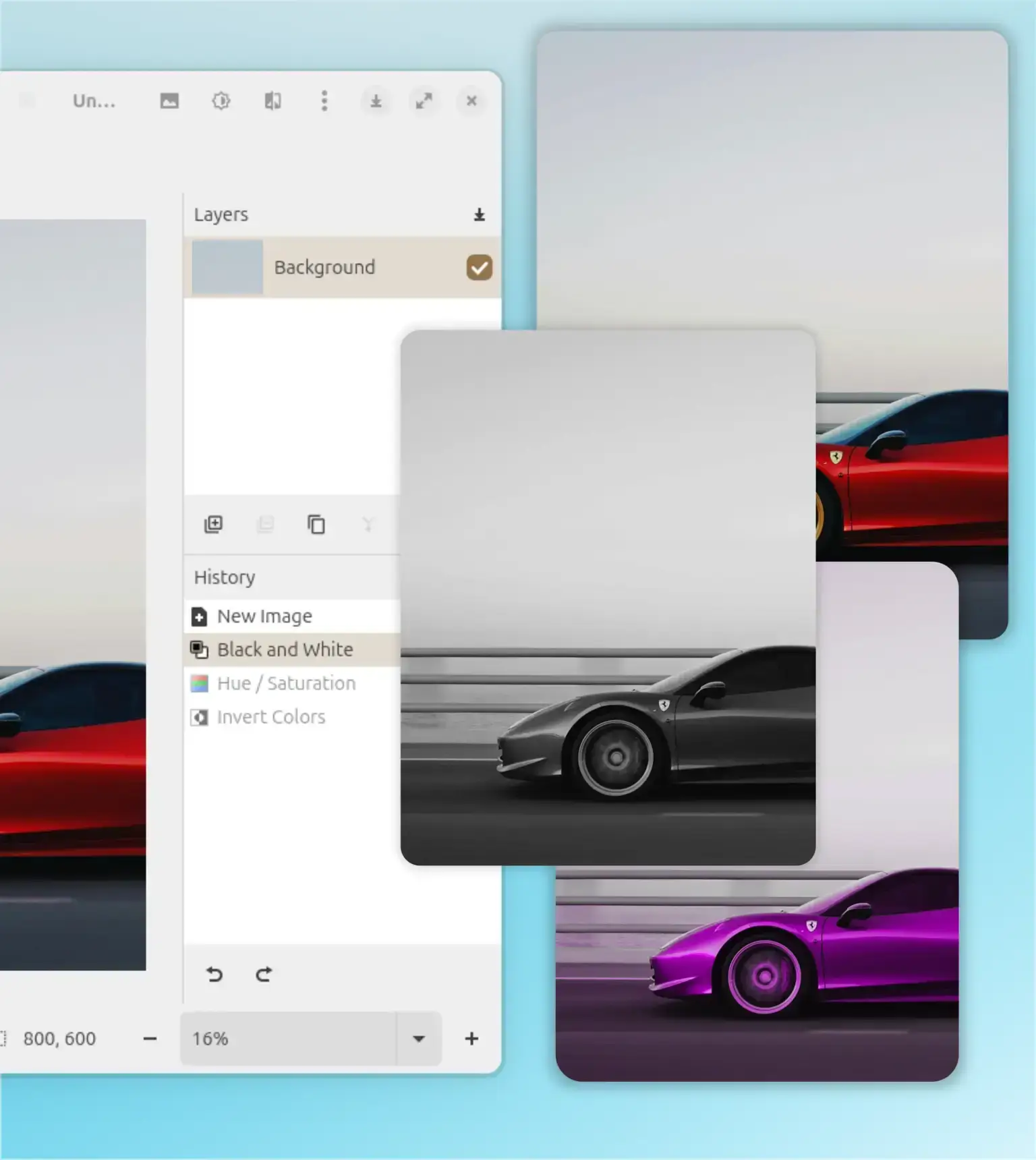 Pinta software interface