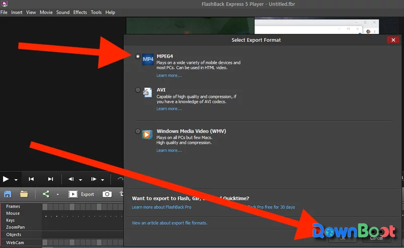 Select export format