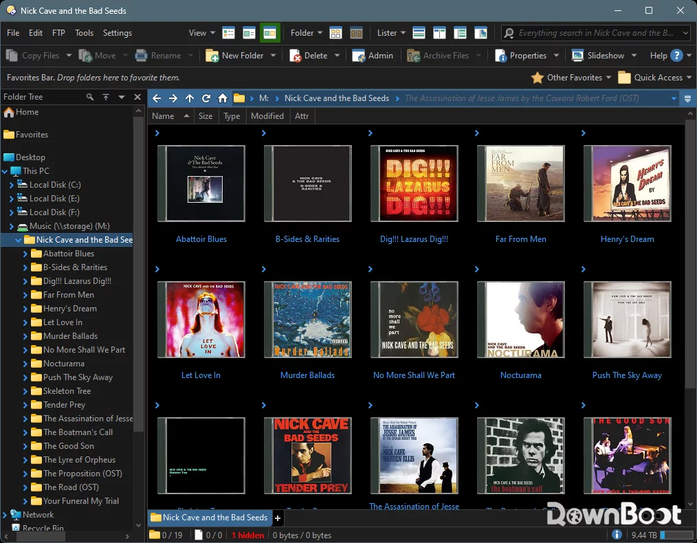 Directory Opus software interface