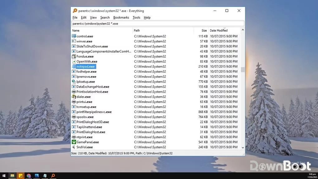Everything software interface